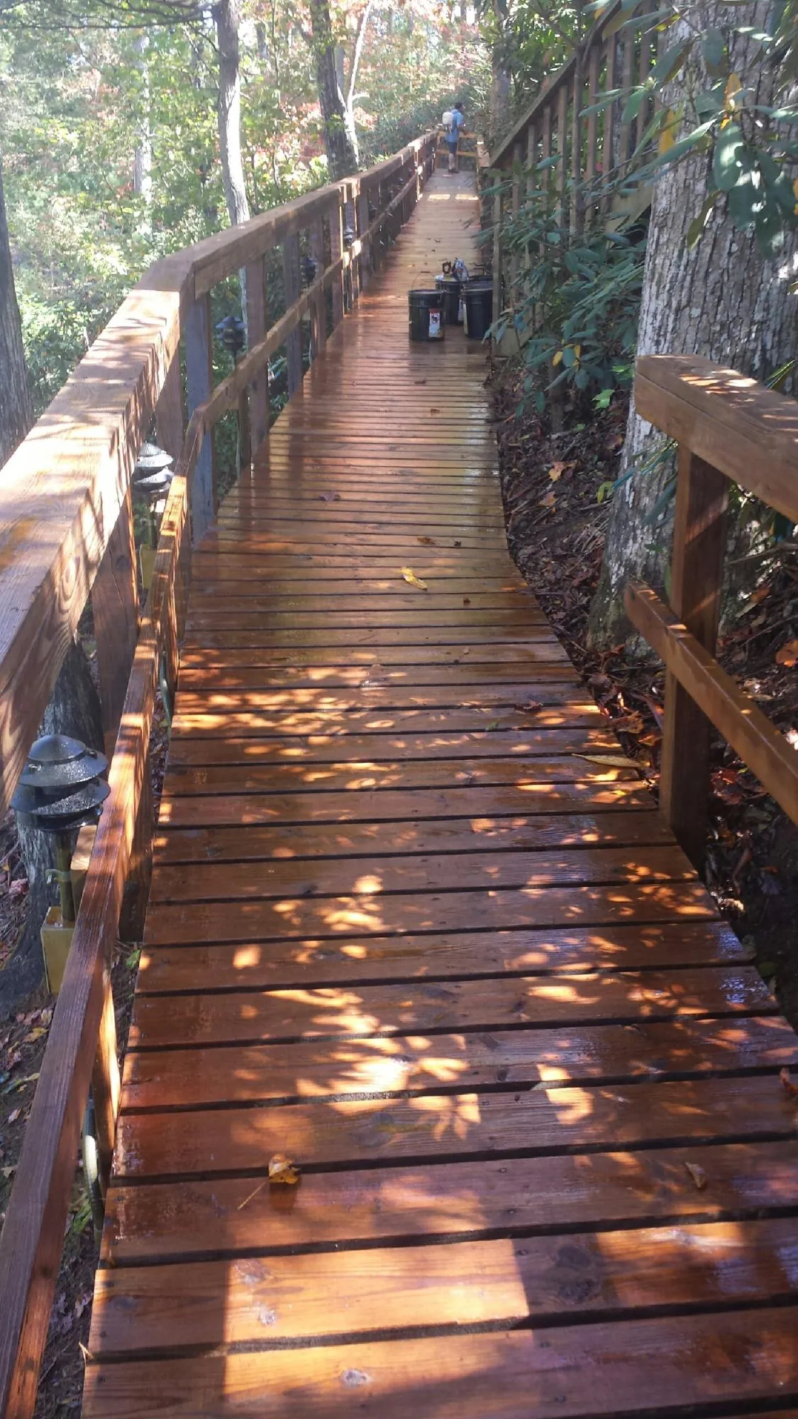 Freshly stained wood walkway winding through the woods in Roscoe