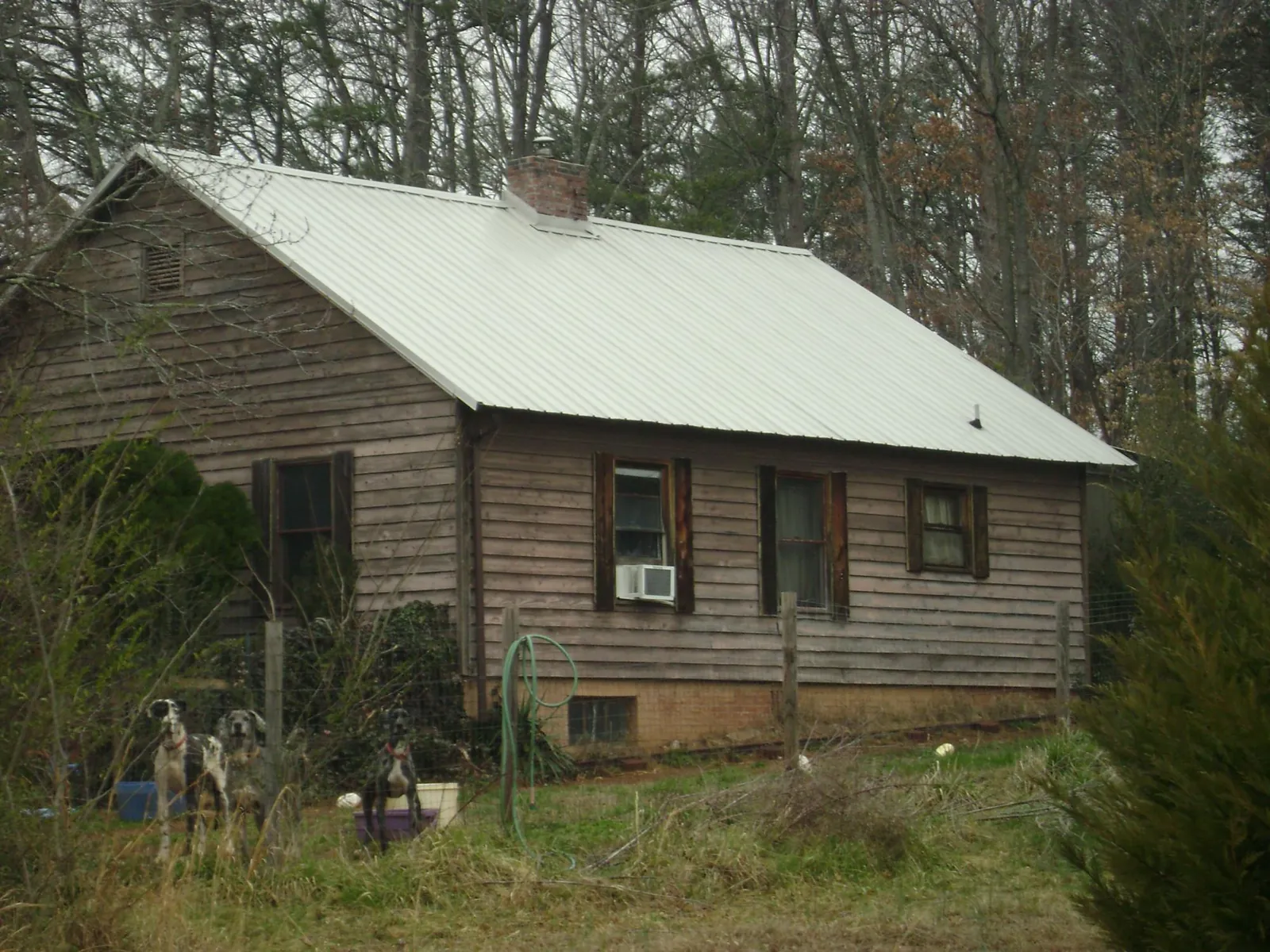 White metal roof on an old wood sided farmhouse, from a Asphalt Shingle Roof Repair job in Roscoe
